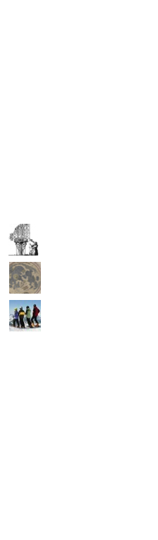 Lorem : Ipsum...